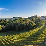 Monschein Weingut Bed & Breakfast 4*