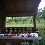 Monschein Weingut Bed & Breakfast