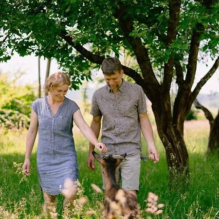 Monschein Weingut Bed & Breakfast