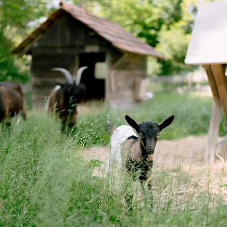 Monschein Weingut B&B 4*