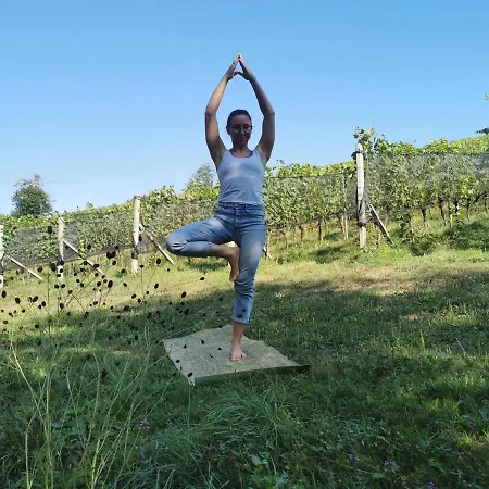 Monschein Weingut Bed & Breakfast 4*