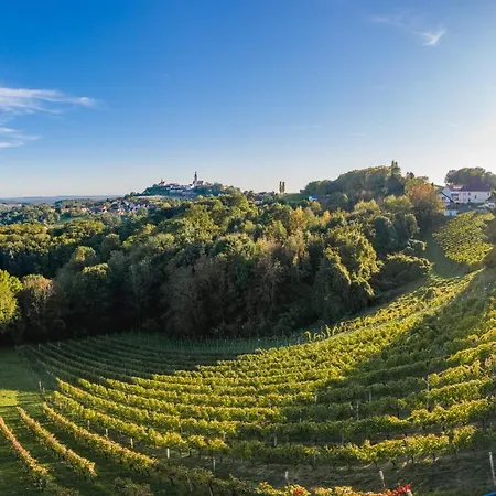 Monschein Weingut Bed & Breakfast *