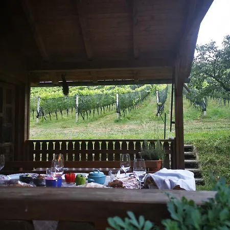 Monschein Weingut Bed and breakfast