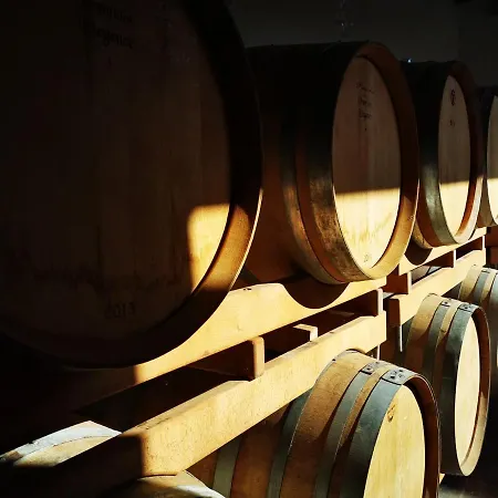 Bed & Breakfast Monschein Weingut 4*