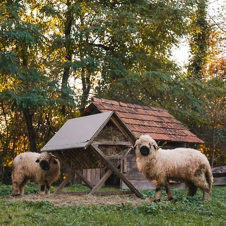 Monschein Weingut 4* Straden