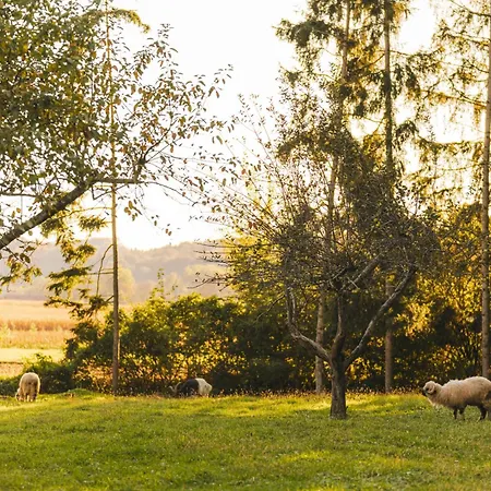 Bed & Breakfast Monschein Weingut Straden