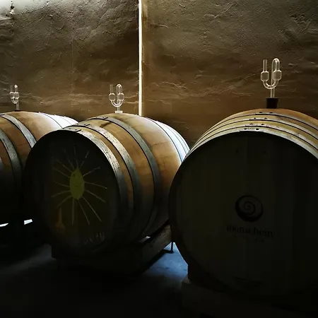 Monschein Weingut Bed & Breakfast *