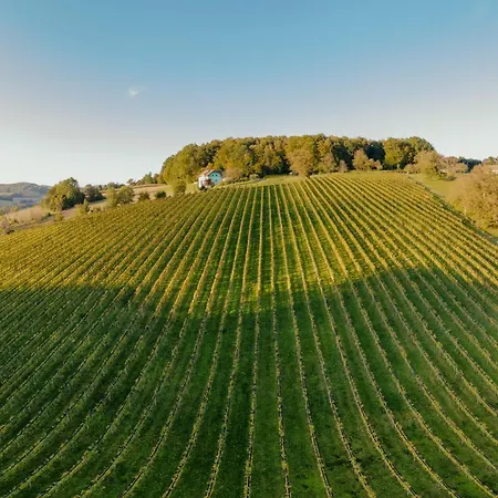 Bed & Breakfast Monschein Weingut 4*