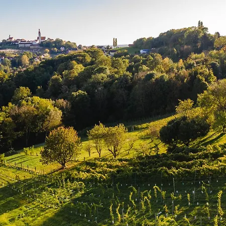 Monschein Weingut 4* Straden