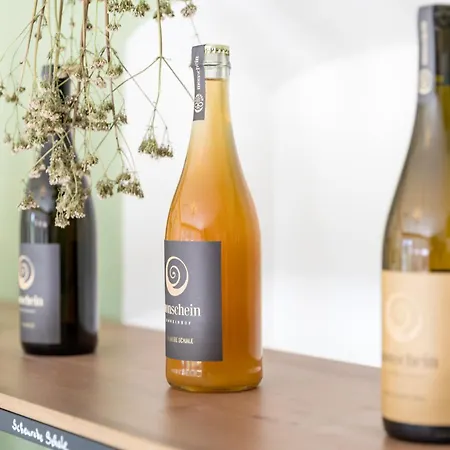 Oda ve Kahvaltı Monschein Weingut Straden