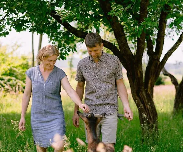 Monschein Bioweinhof Frühstückspension