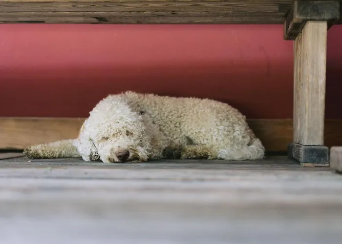 Monschein Bioweinhof