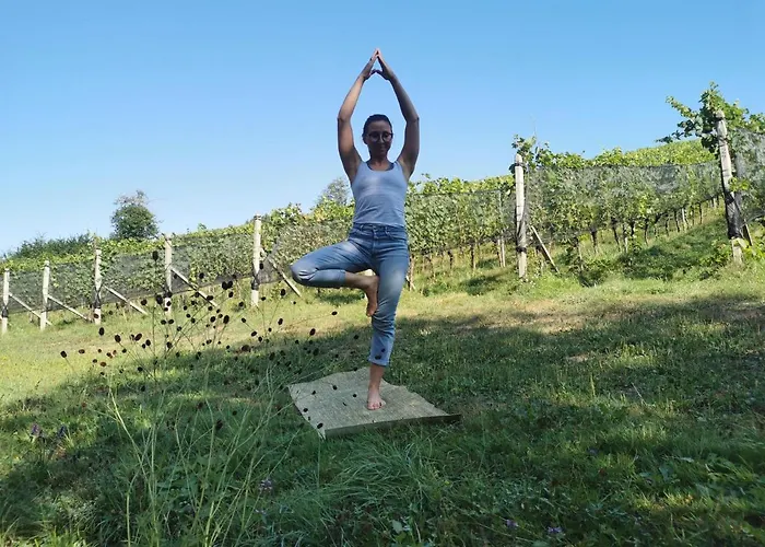 Monschein Bioweinhof Frühstückspension 4*