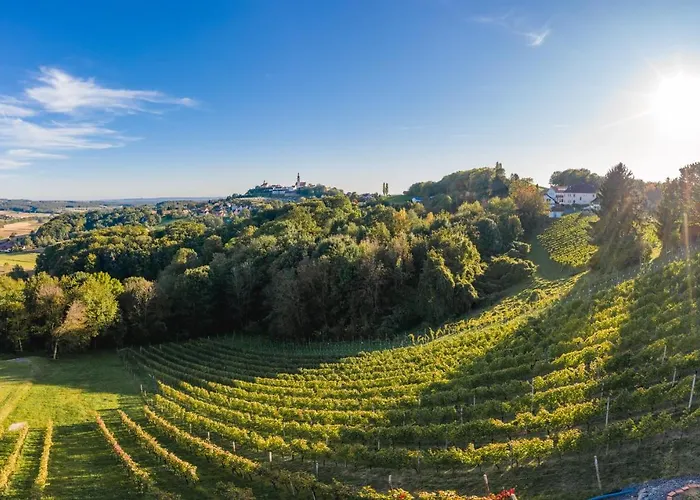 Monschein Bioweinhof Frühstückspension 4*