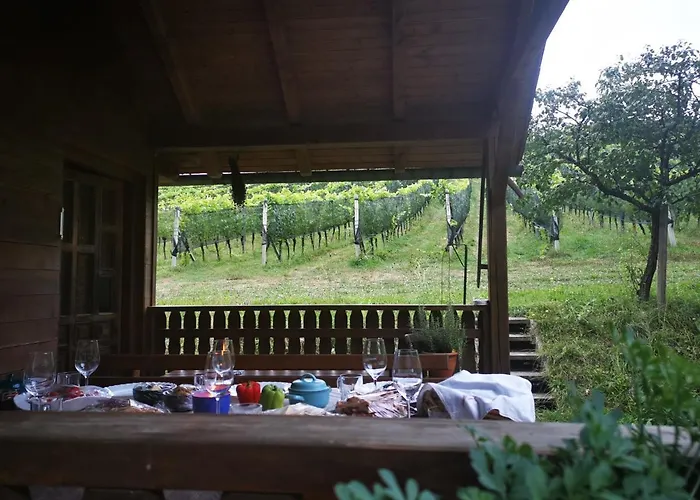 Monschein Bioweinhof Frühstückspension