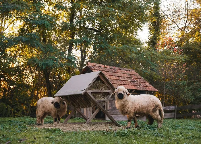 Monschein Bioweinhof 4* Straden