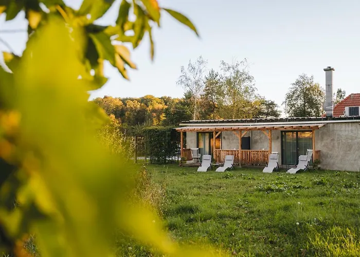 Monschein Bioweinhof