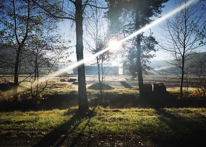 Monschein Weingut B&B Straden