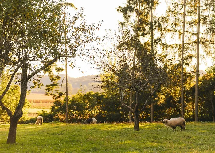 Bed & Breakfast Monschein Weingut Straden