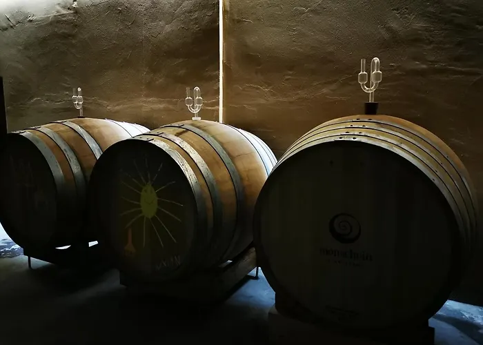 Monschein Weingut B&B 4*