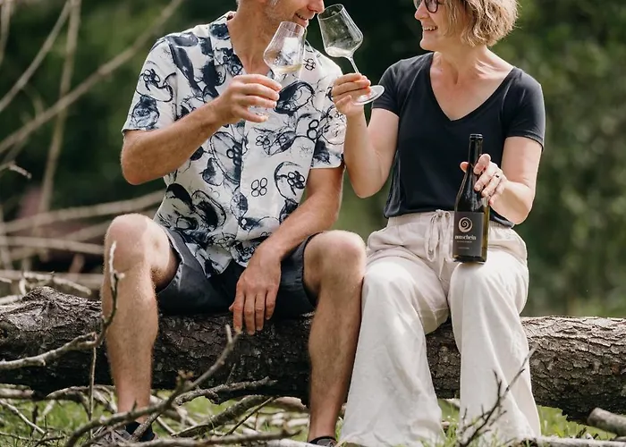 Monschein Weingut B&B