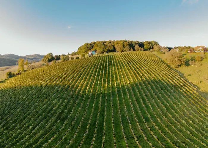 Frühstückspension Monschein Bioweinhof 4*