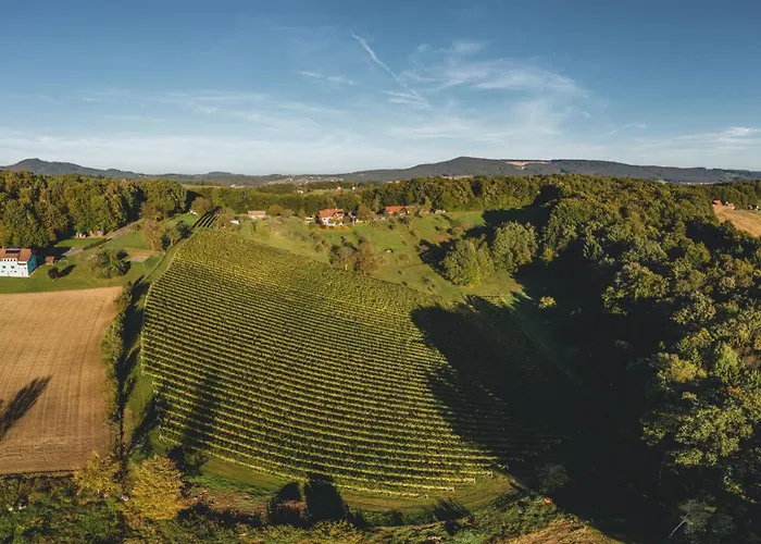 Monschein Bioweinhof Frühstückspension Straden