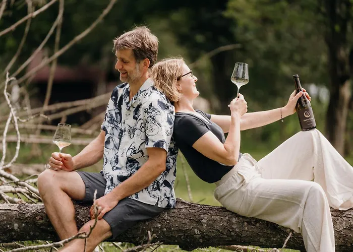 Monschein Weingut Straden