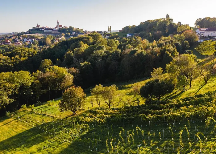 Monschein Bioweinhof 4* Straden