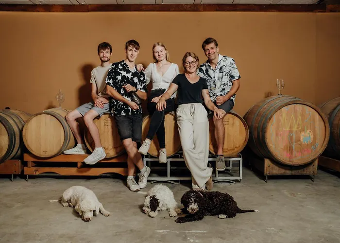 Monschein Weingut B&B