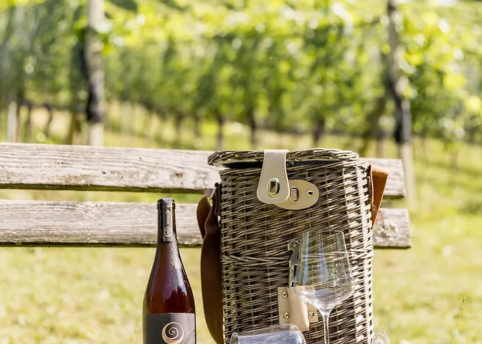 Monschein Weingut Straden